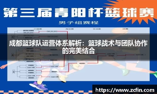 成都篮球队运营体系解析:篮球战术与团队协作的完美结合