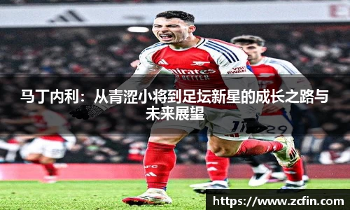 马丁内利：从青涩小将到足坛新星的成长之路与未来展望